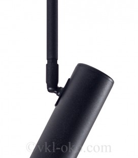 Светильник потолочный Atmolight Pelikan С180-2 Black